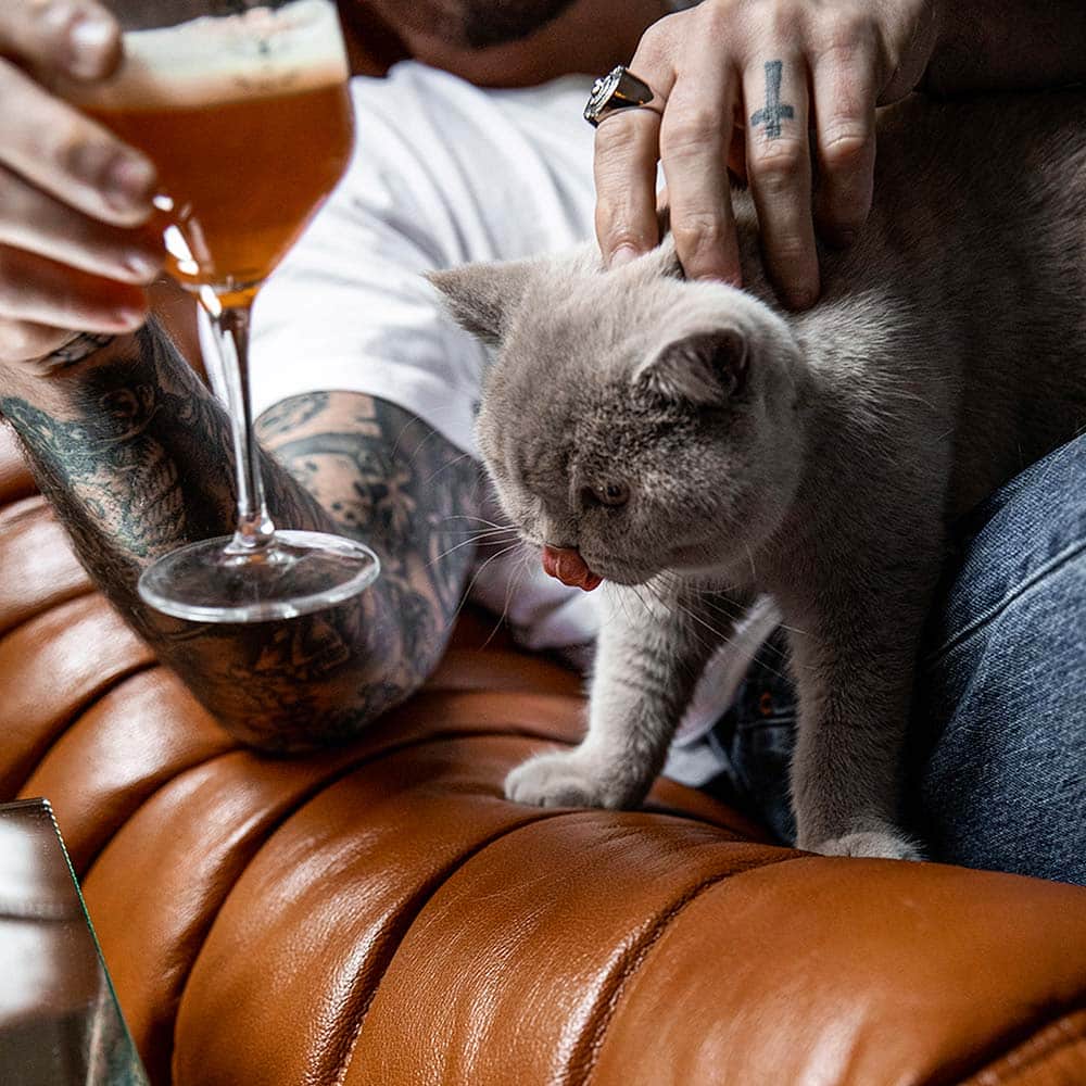 Twisted Cat beer